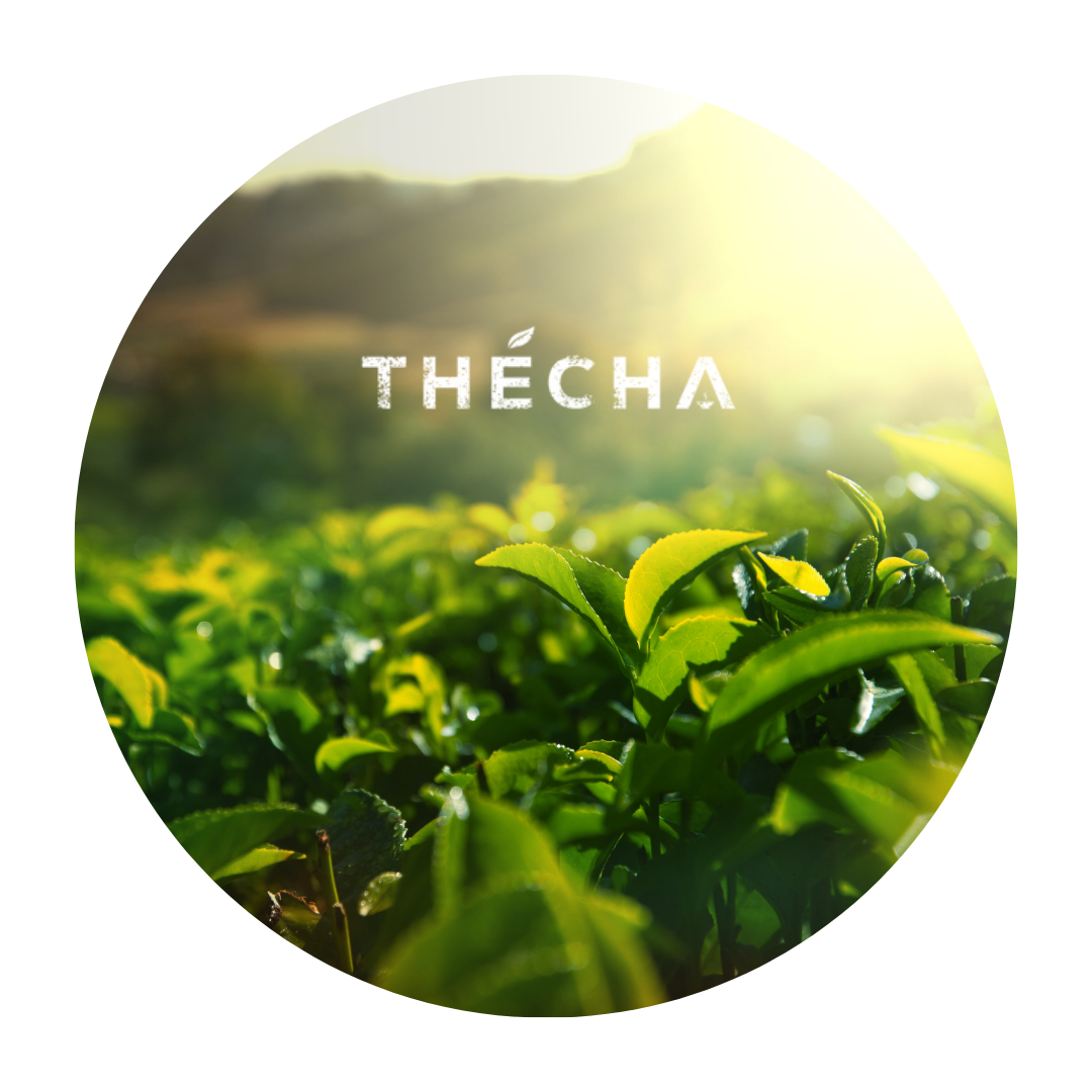 THÉCHA