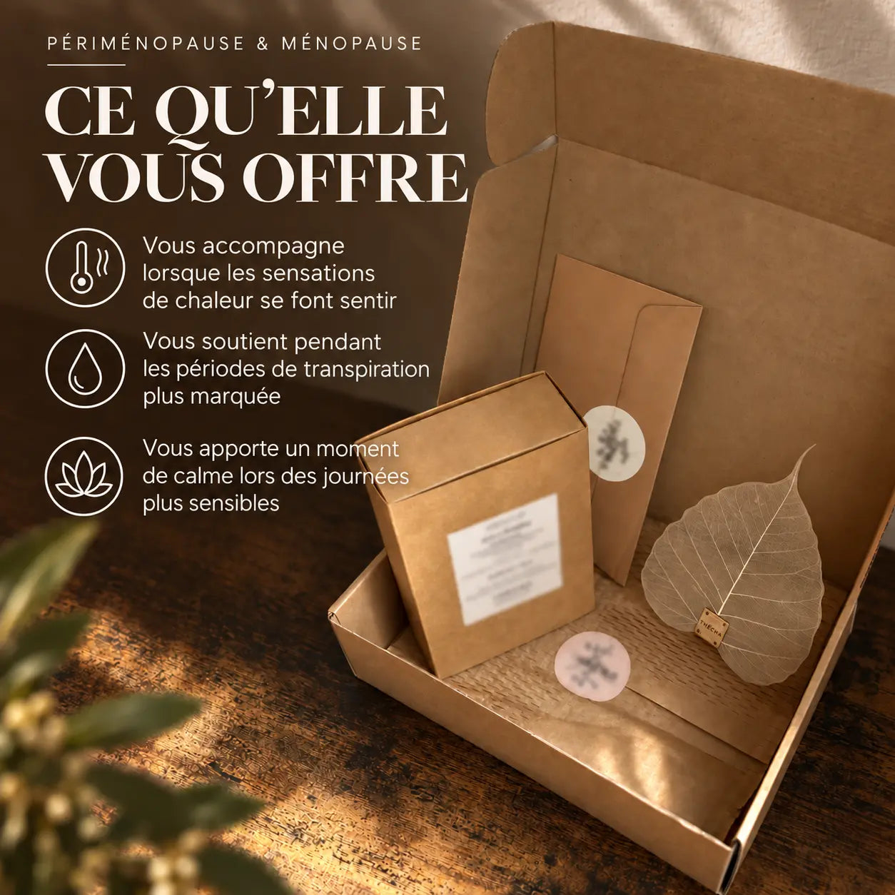 Bienfaits de l’infusion Transition féminine N°8 Thécha pour accompagner la périménopause et la ménopause.
